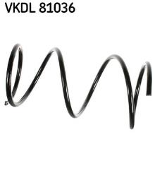 SKF VKDL 81036